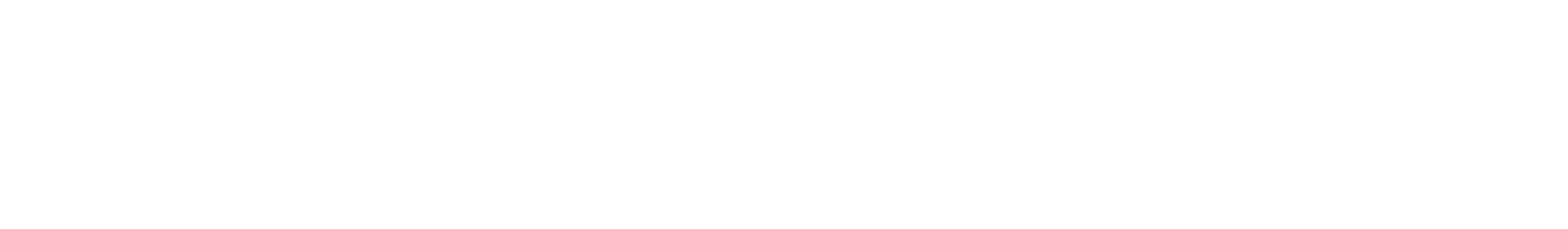 Mega Systems